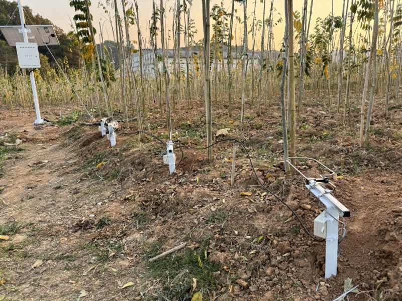 云南普洱市梨樹(shù)幼苗生長(zhǎng)監(jiān)測(cè)系統(tǒng)安裝驗(yàn)收完畢！